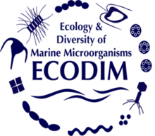 ecodim2025.viastream.cl
